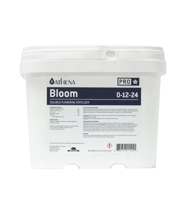 athena-pro-line-bloom-6.webp