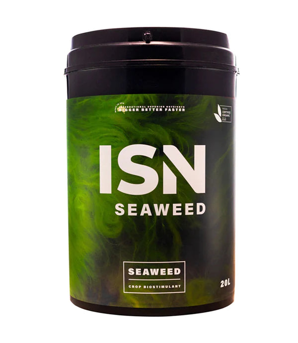 isnseaweed20l_600x.webp
